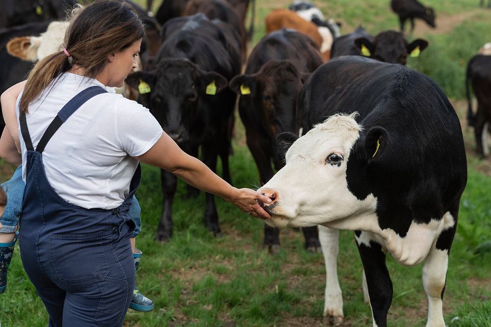 Unlocking Opportunities with USDA Feasibility Studies