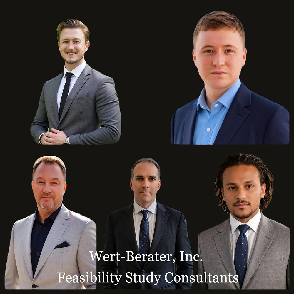 Why does the experience of a feasibility study consultant cost more and why so important