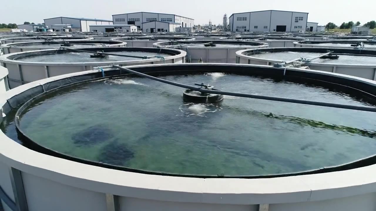 Aquaculture & Fish Farming Feasibility Studies
