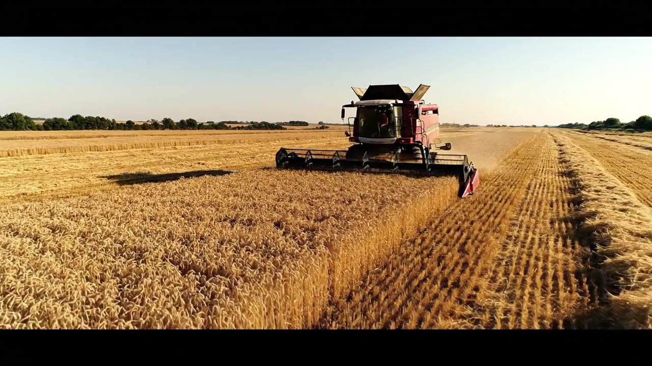 Crop Farming & Row Crops Feasibility Studies