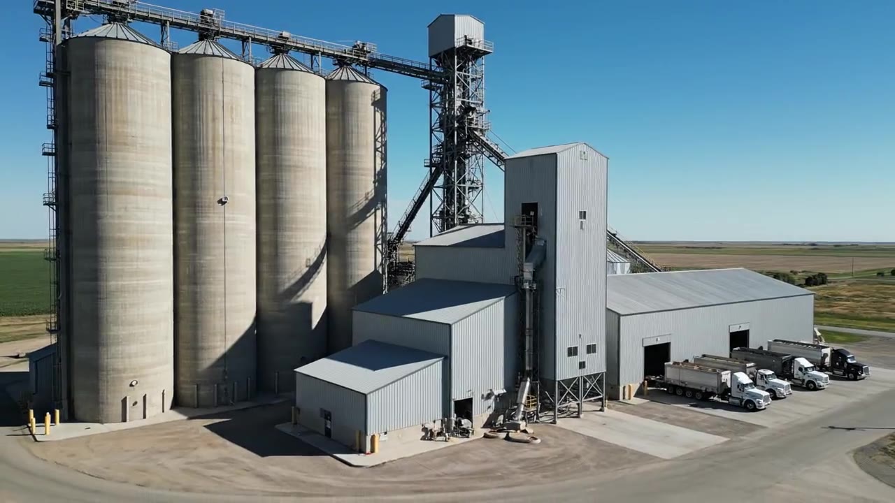 Grain Elevator & Feed Mill Feasibility Studies