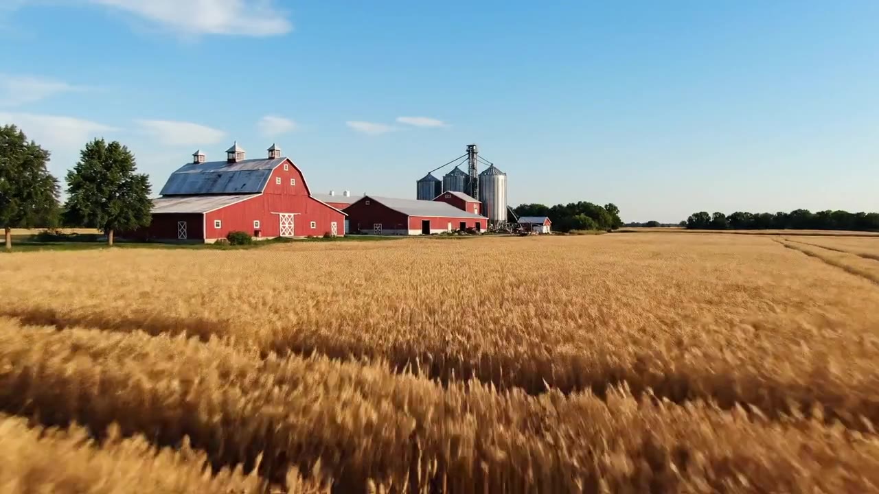 The USDA Feasibility Studies