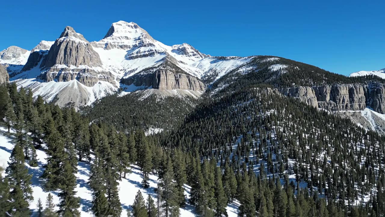 Feasibility Study Consultants in Colorado