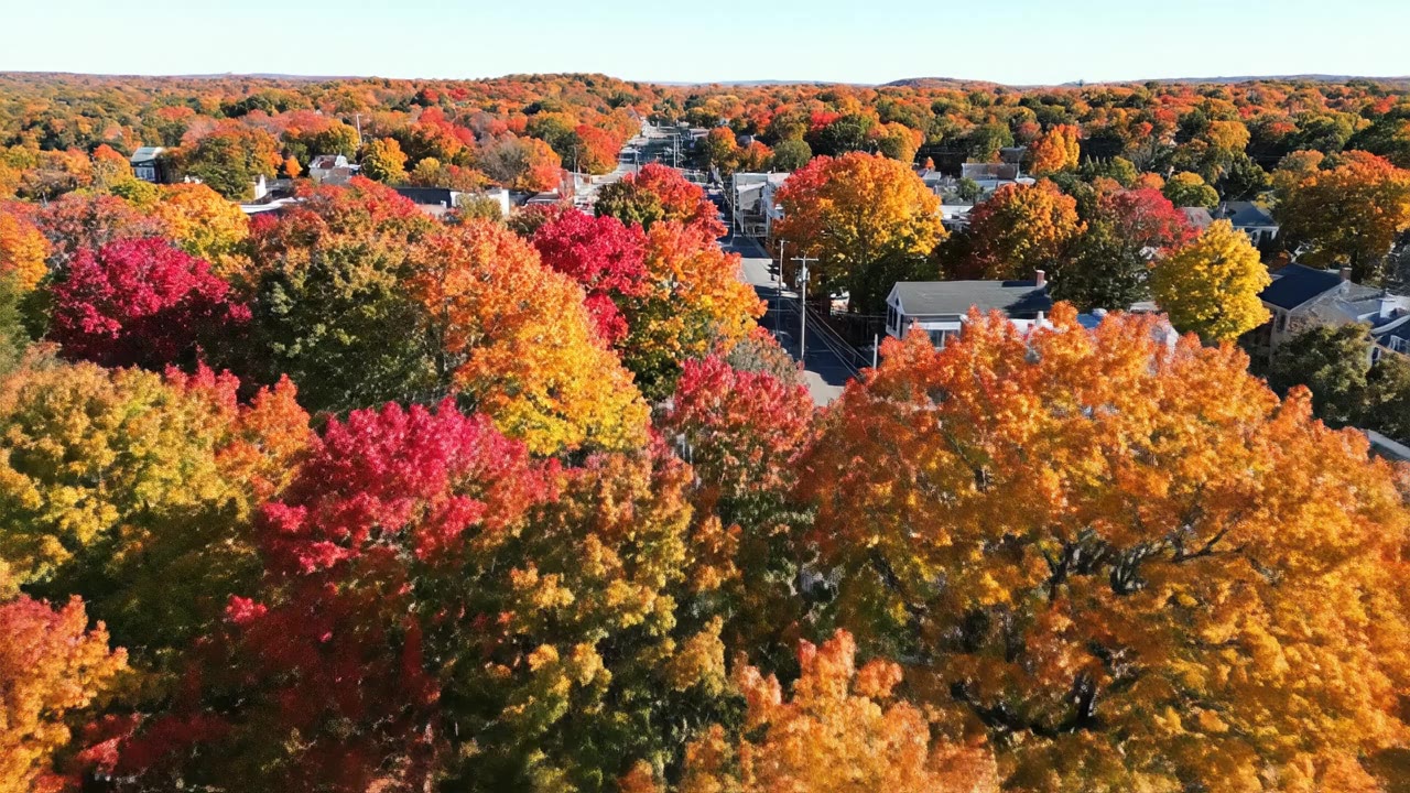 Feasibility Study Consultants in Connecticut