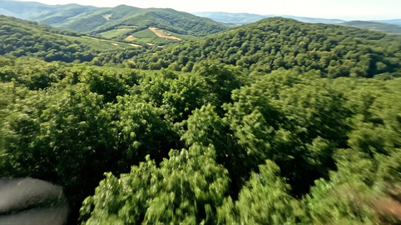 Feasibility Study Consultants in Georgia