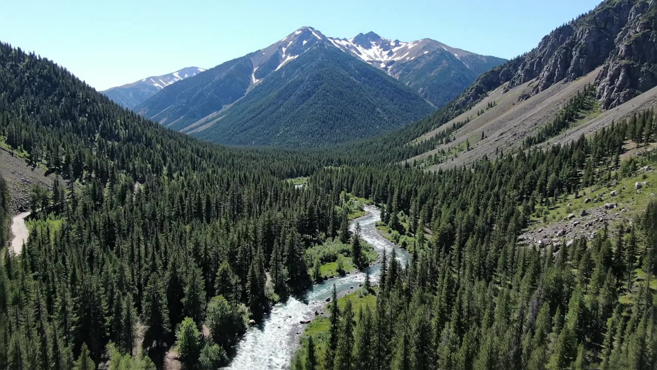 Feasibility Study Consultants in Idaho