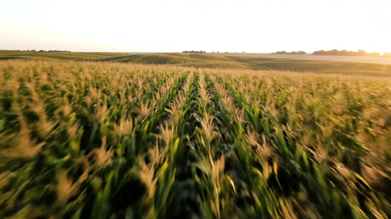 Feasibility Study Consultants in Iowa