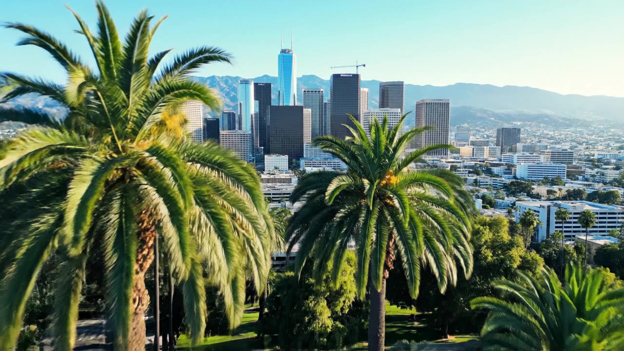 Feasibility Study Consultants in Los Angeles
