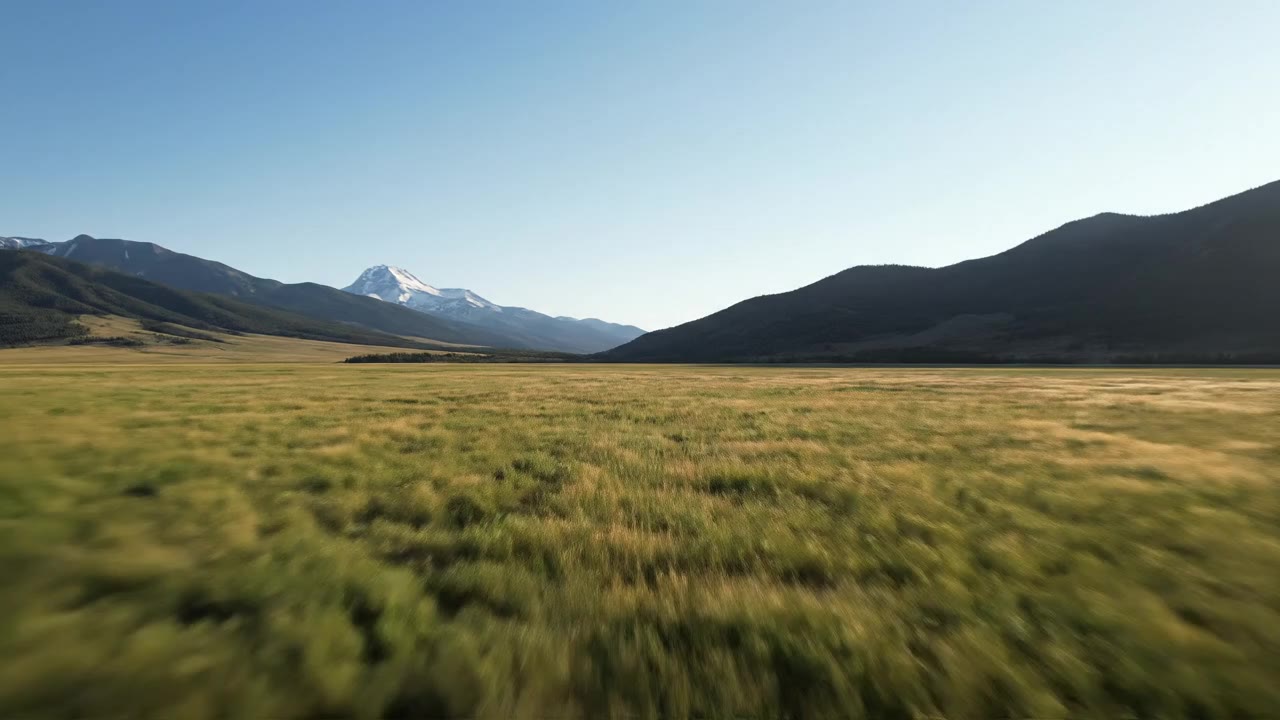 Feasibility Study Consultants in Montana