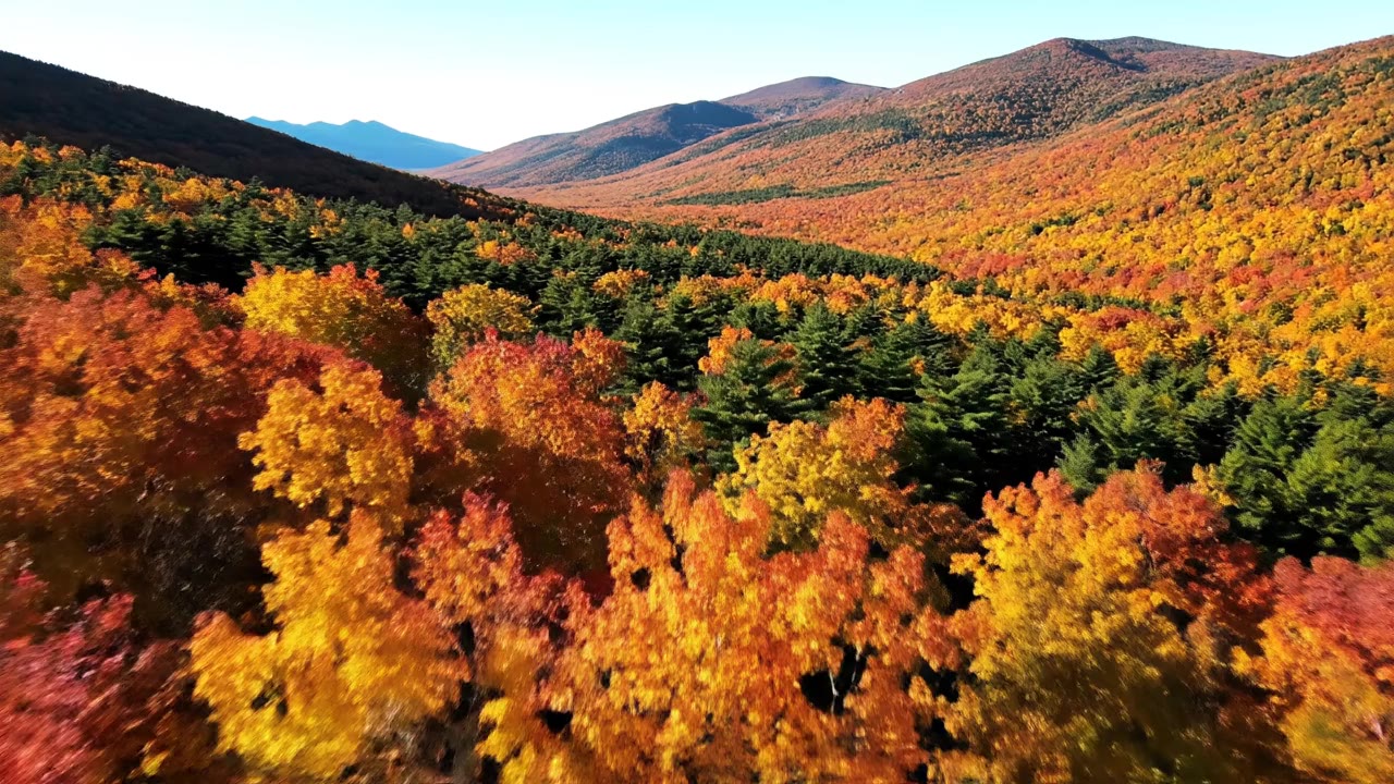 Feasibility Study Consultants in New Hampshire