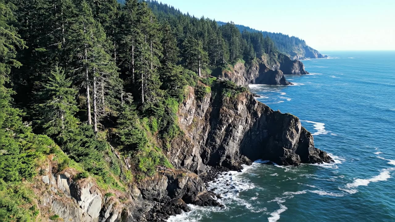 Feasibility Study Consultants in Oregon