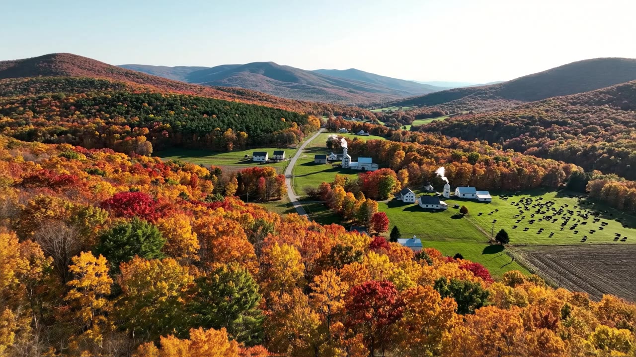 Feasibility Study Consultants in Vermont