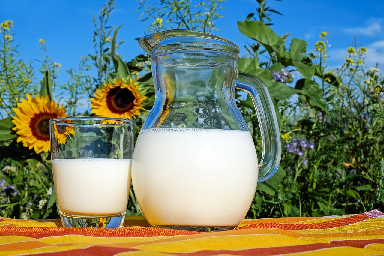 Dairy Processing Feasibility Study Dairy Processing Feasibility Study