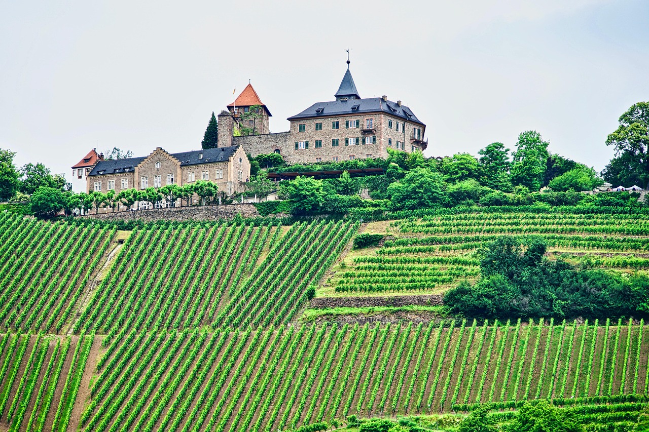 Event Venue, Winery and Wedding Estate Feasibility Study Event Venue, Winery and Wedding Estate Feasibility Study