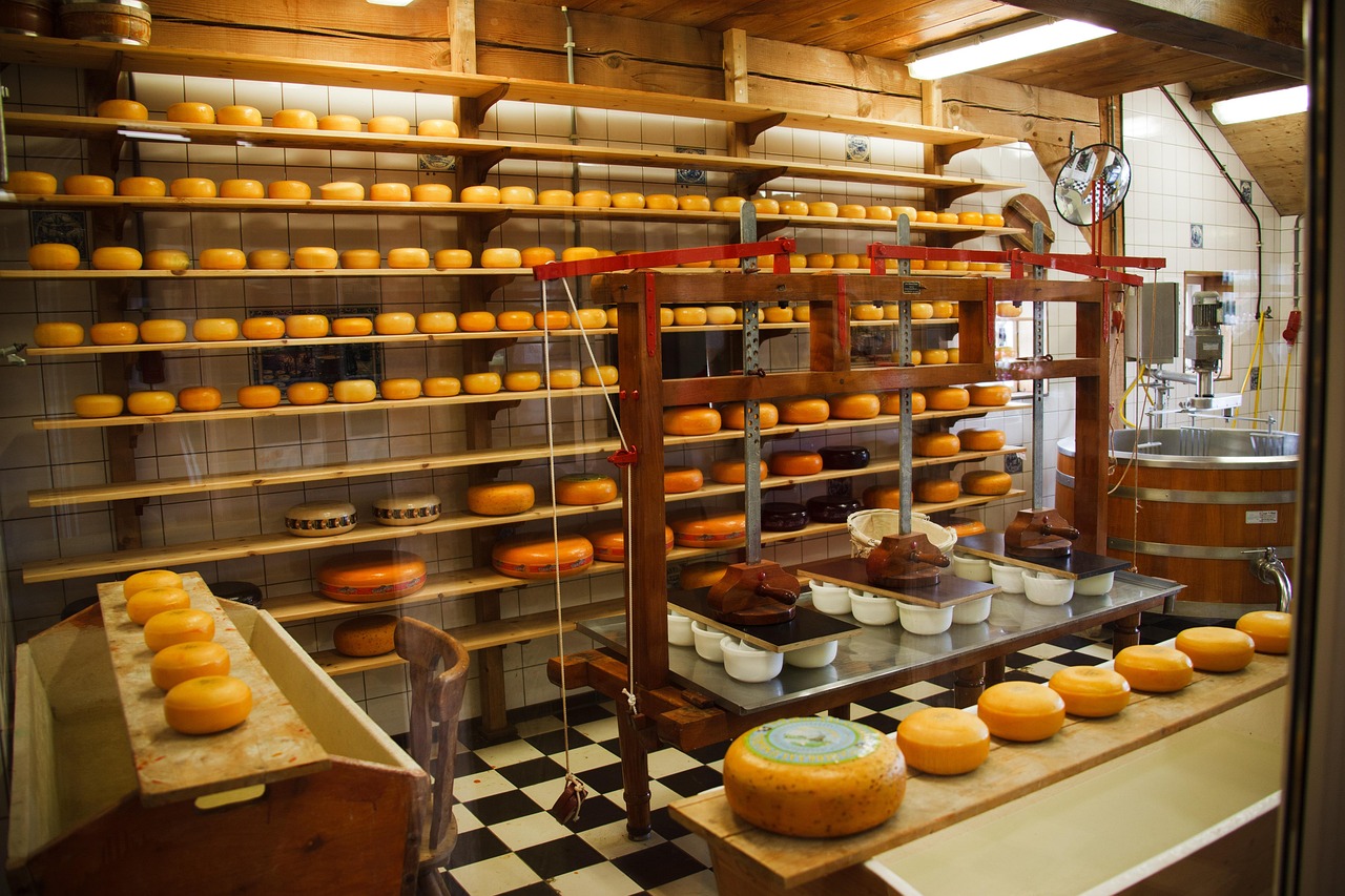 Food and Beverage Manufacturing Feasibility Study Food and Beverage Manufacturing Feasibility Study