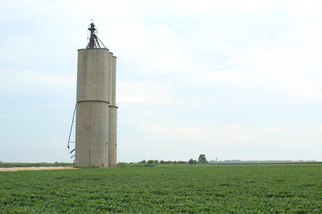 Grain Elevator and Feed Mill Feasibility Study Grain Elevator and Feed Mill Feasibility Study