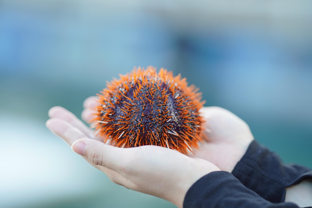 Live Seafood Holding and Distribution Feasibility Study Live Seafood Holding and Distribution Feasibility Study
