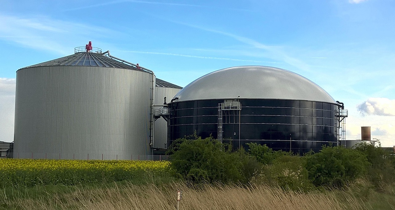 Renewable Natural Gas and Digesters Feasibility Study Renewable Natural Gas and Digesters Feasibility Study